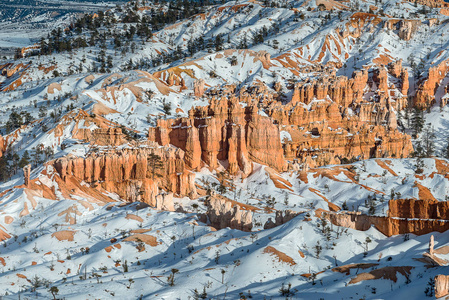 在犹他州布莱斯峡谷 Hoodoos