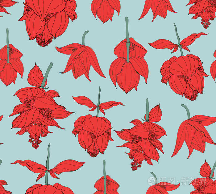 无缝图案, medinilla 姜花在浅蓝色背景, 红色和绿色色调插画-正版