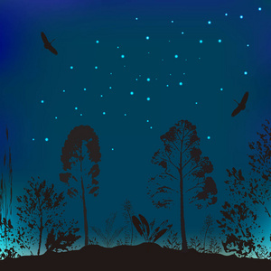 野生动物的矢量例证。夜空树木和飞鸟的背景
