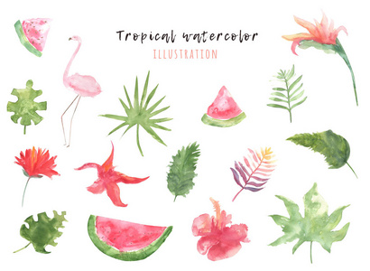 一套热带水彩图形与树叶, 花卉和火烈鸟。明亮的装饰为您的设计