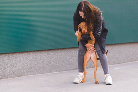 一个女孩抱着一只漂亮的棕色狗, 在绿墙的背景下。狗和主人的爱。宠物是一个概念