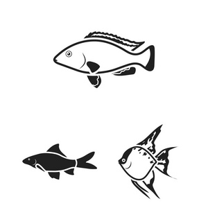 不同类型的鱼黑色图标集合中的设计。海洋和水族鱼矢量符号股票网页插图