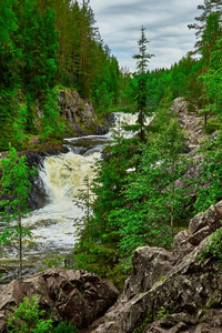 瀑布 Kivach 在 Kareliya