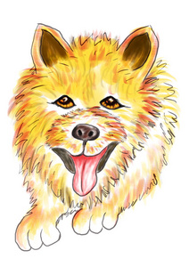 黄色狗肖像数码艺术