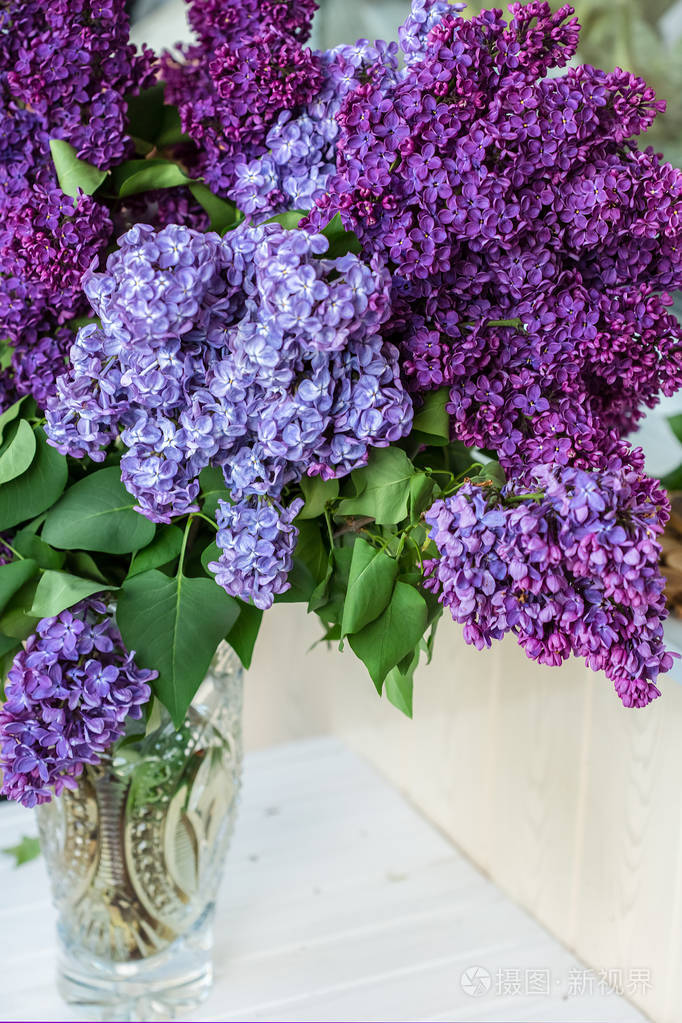 一束丁香花特写