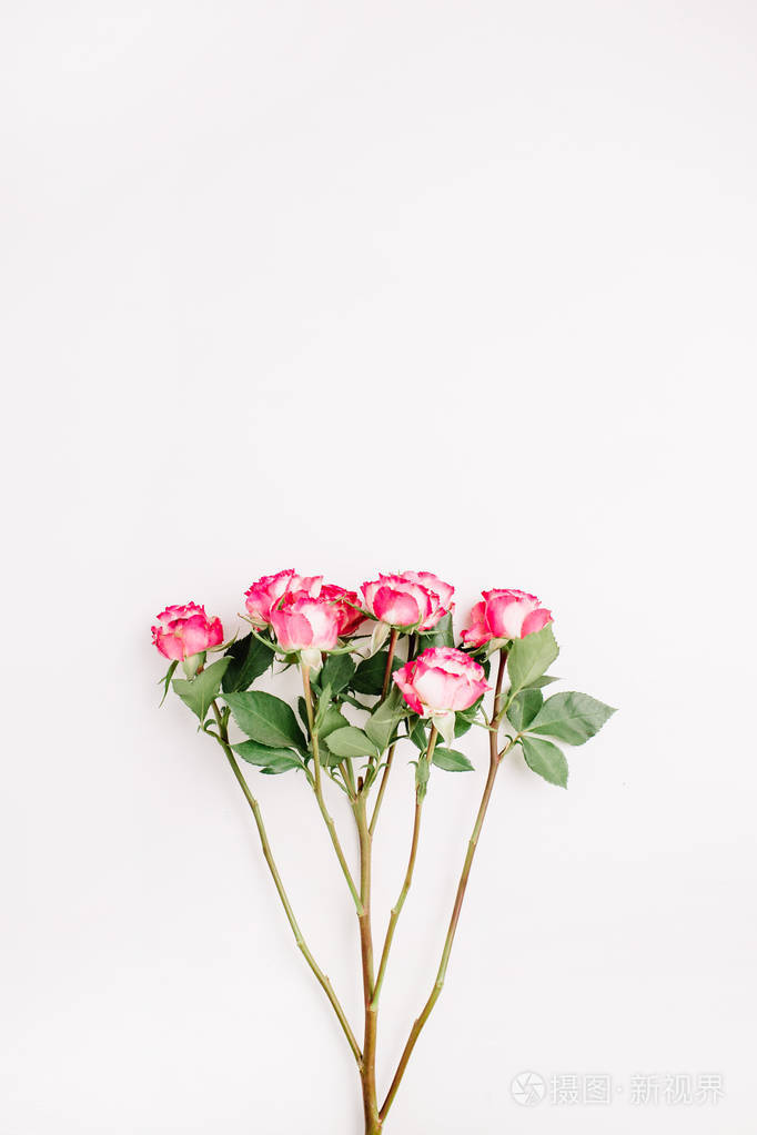 粉红色玫瑰花花束在白色背景平躺顶部视图最小弹簧花概念