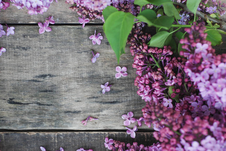 春天的花朵。丁香花框架上的乡土纹理灰色木质背景。顶部视图, 平躺