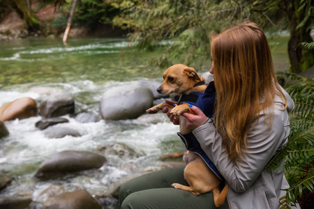 女人 holiding 一只小狗, 吉娃娃, 双臂环抱着美丽的大自然。在加拿大不列颠哥伦比亚温哥华北部的林恩河谷拍摄