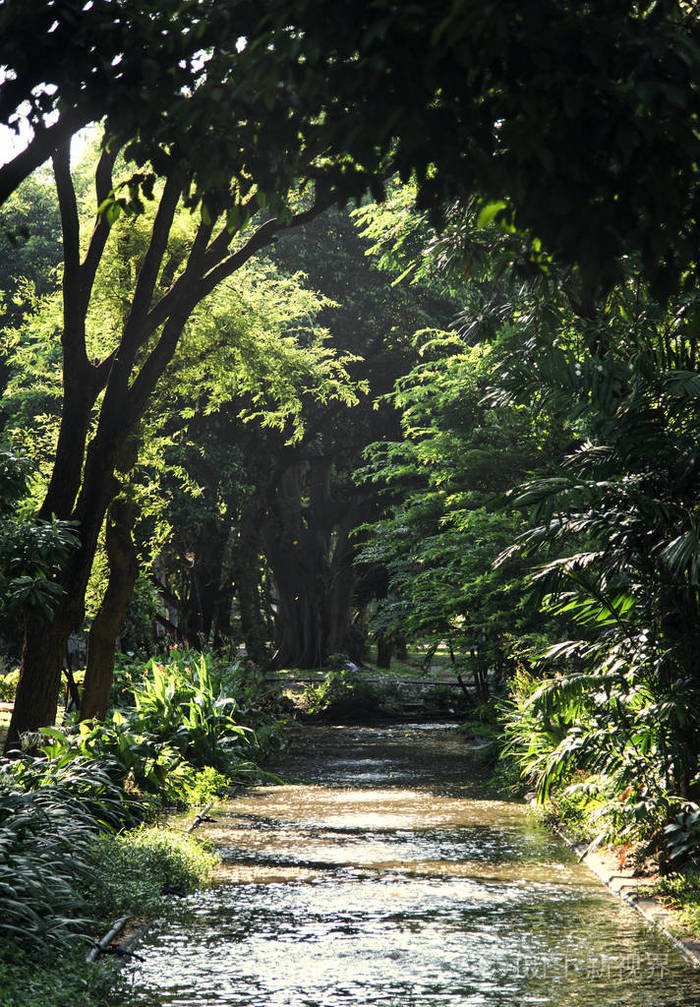 通过 agreen 林进行补丁