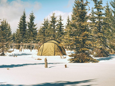 冬天露营在雪在森林里。树间隐藏的绿色帐篷