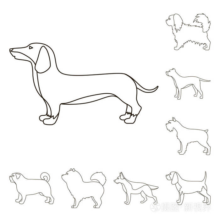 狗在集合中滋生轮廓图标以供设计.狗宠物矢量符号股票网页插图