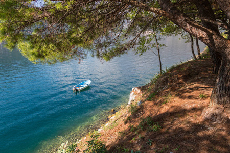 黑山 Perast 松树下的一条海水小船