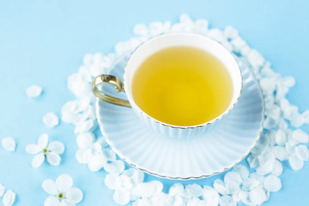 一杯蓝色精致的绿茶, 花瓣在白色的春天开花的树木的蓝色背景。春季灵感概念
