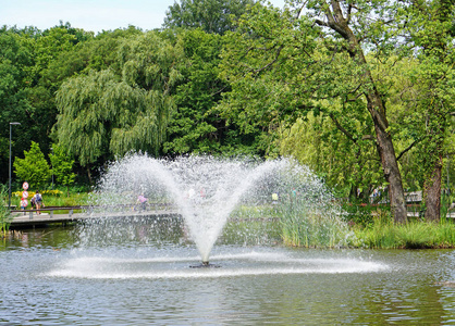 喷泉在池塘旁边的树林