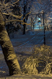 美丽的人行道，明亮的夜晚，冬天，伊凡弗兰科公园