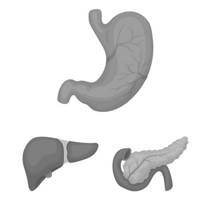 内部器官的一个人的单色图标集合中的设计。解剖学和医学矢量符号股票 web 插图