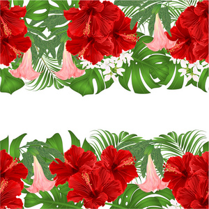 花卉边框无缝背景的水平花束与热带花卉插花, 与红色芙蓉, 棕榈, 蔓和 Brugmansia, 老式矢量插图可编辑手绘手画
