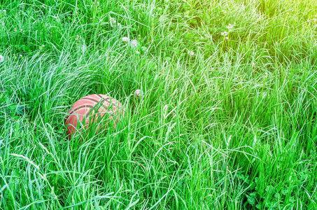 红色的草篮绿色草地上的红色篮球照片