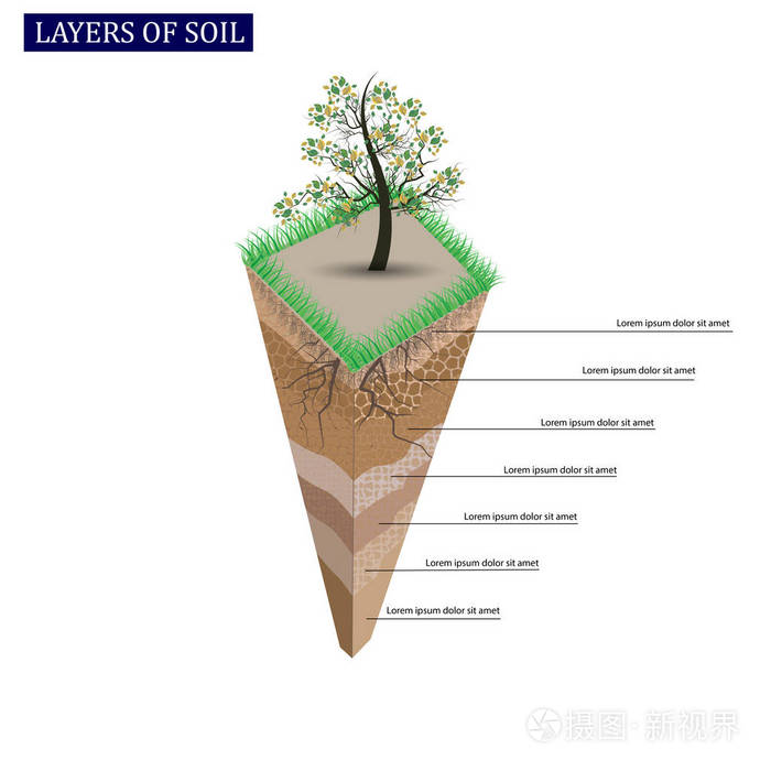 土壤剖面和土壤的视野 一片绿草和植物根的土地插画 正版商用图片0o96ij 摄图新视界