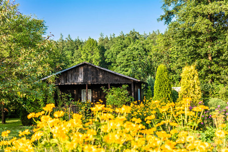 花园里盛开着鲜花的夏日小屋, 乡村风光