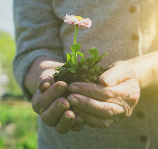 人手捧地球图片