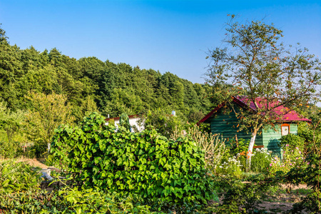 花园里的夏日别墅, 田园风光的乡间小屋