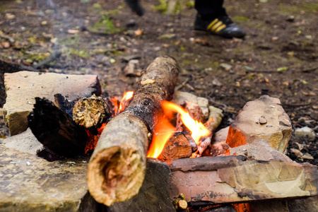燃烧着木柴的篝火照片