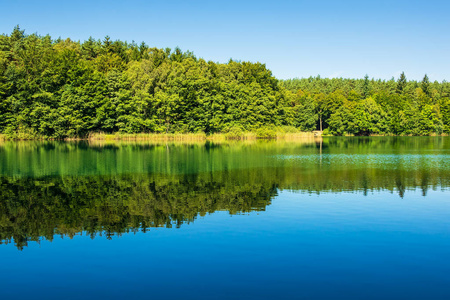 湖上有树和蓝天的风景