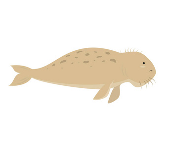 儒艮白色背景上的卡通儒艮图标照片