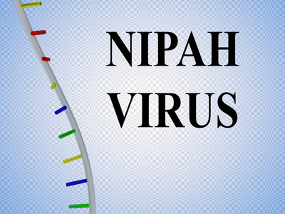 蝙蝠病毒图片-蝙蝠病毒素材-蝙蝠病毒插画-摄图新视界