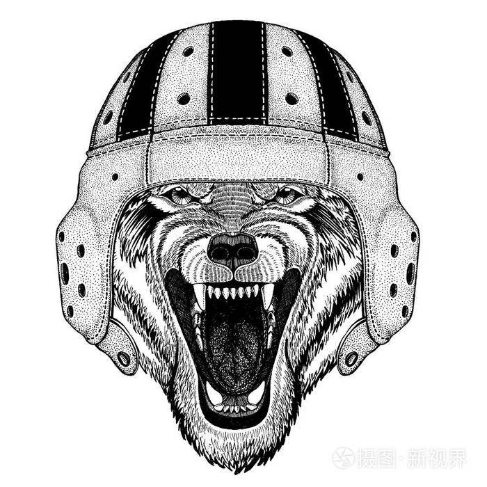 酷的动物穿着橄榄球头盔极限运动狼狗野生动物手画纹身, 徽章, 徽章, 标志, 补丁, t恤衫的插图