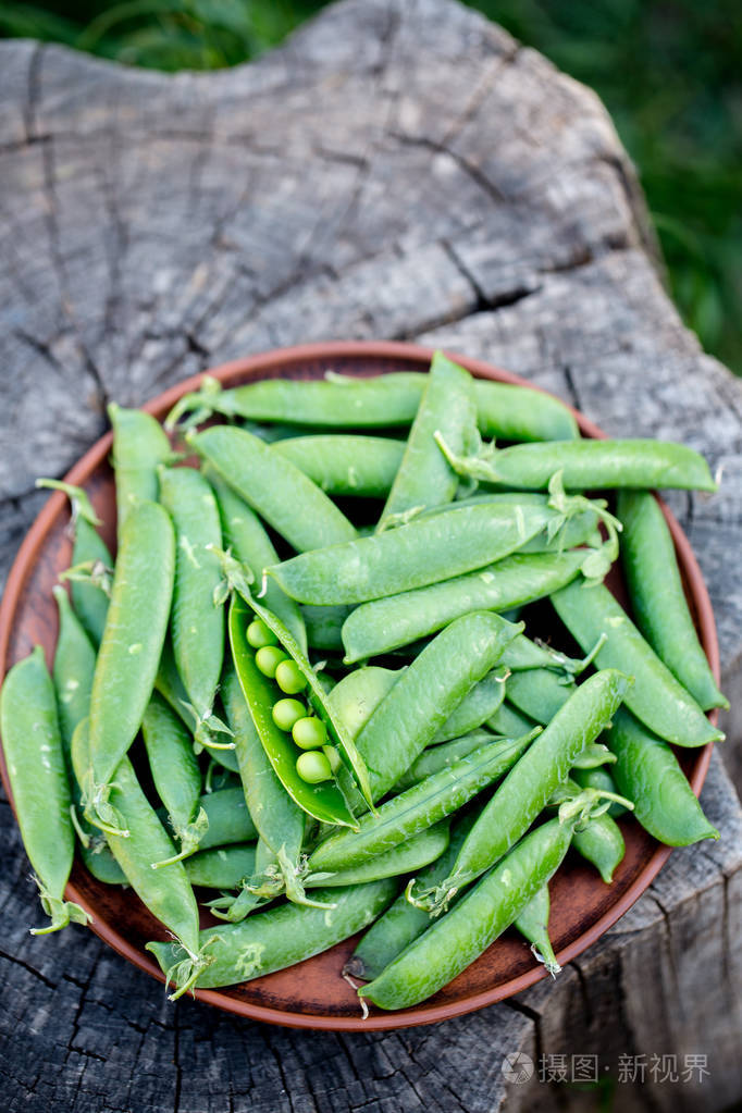 木树桩上的青豆