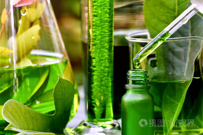 植物玻璃玻璃器皿有机天然绿茶中提取自然草本舒缓凝胶治疗皮肤护理