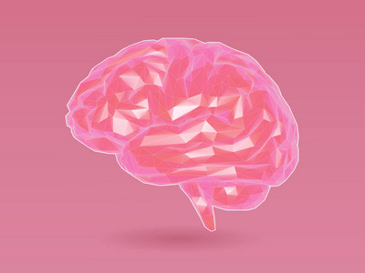 低保利风格的彩色粉红色的大脑与3d 阴影和线框插图粉红色背景