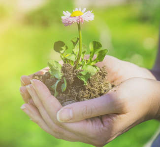 女子手托花图片