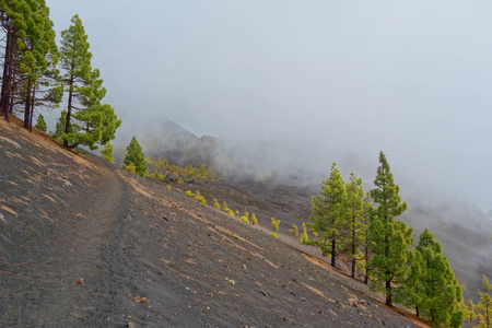 西班牙 La 帕尔马岛 Gr131 Ruta Volcanes 徒步旅行小径的景观