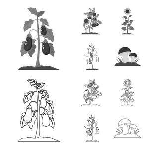 茄子, 西红柿, 向日葵和豌豆。植物集合图标的轮廓, 单色风格矢量符号股票插画网站
