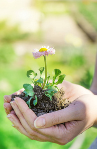 女子手托花图片