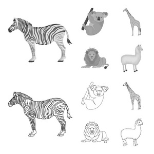 非洲斑马, 动物考拉, 长颈鹿, 野生捕食者, 狮子。野生动物集合图标的轮廓, 单色风格矢量符号股票插画网站