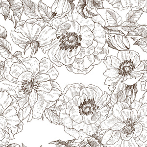 老式植物手画插图.春天的花朵, 花园玫瑰, 狗玫瑰.矢量设计照片