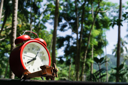 木制飞机模型和红色闹钟在木头与美丽的热带森林背景为自然旅行背景概念