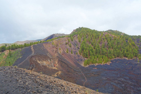 西班牙 La 帕尔马岛 Gr131 Ruta Volcanes 徒步旅行小径的景观