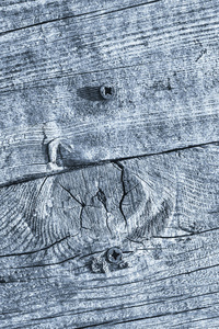 蓝色老风化破裂打结松树木地板垃圾质地与生锈的菲利普斯螺钉嵌入细节