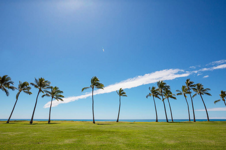 令人惊叹的夏威夷海滩自然风光景观