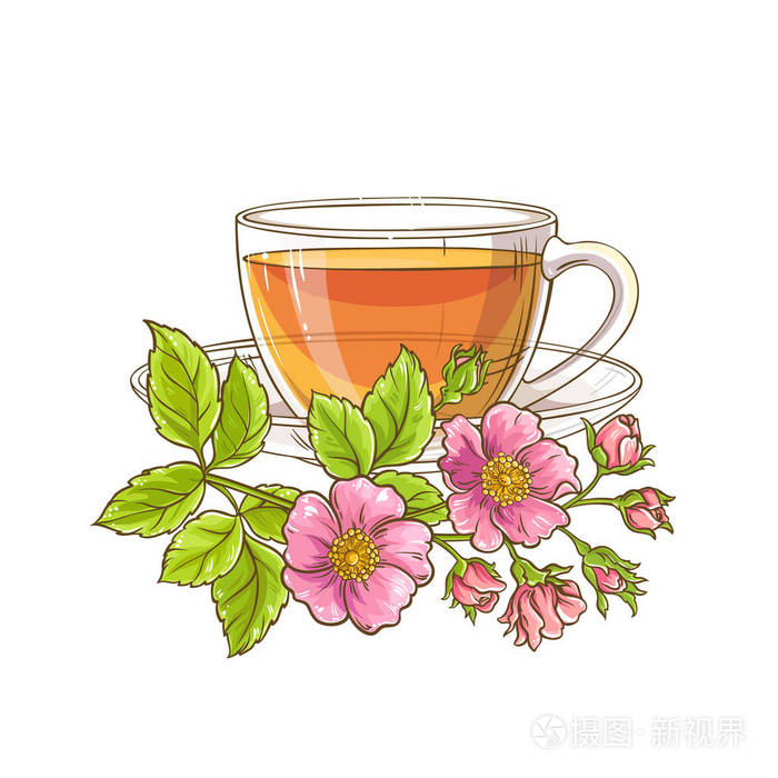 白色背景狗玫瑰茶插图插画-正版商用图片0o9riz-摄图新视界