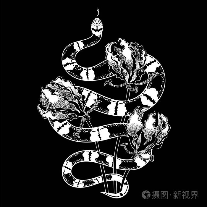 手工画的复古蛇与花卉纹身艺术.矢量插图被隔离.老式设计线型.