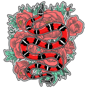 手工画的复古蛇与花卉纹身艺术。矢量插图被隔离。老式设计线型。魔术炼金物体