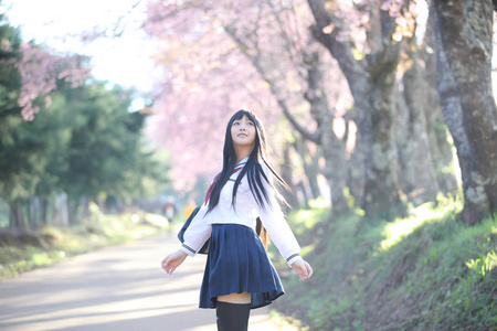 日本学校女孩礼服寻找樱花自然走道