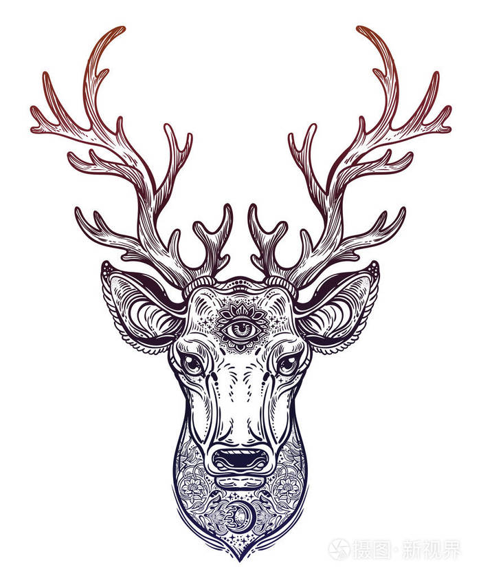 华丽的鹿头与美丽的鹿角, 装饰图案和神圣的眼睛插画-正版商用图片0o