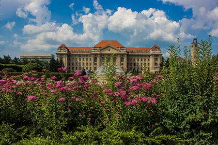 明亮多彩的夏日户外公园, fontain, 鲜花和古老美丽的宫殿门面背景